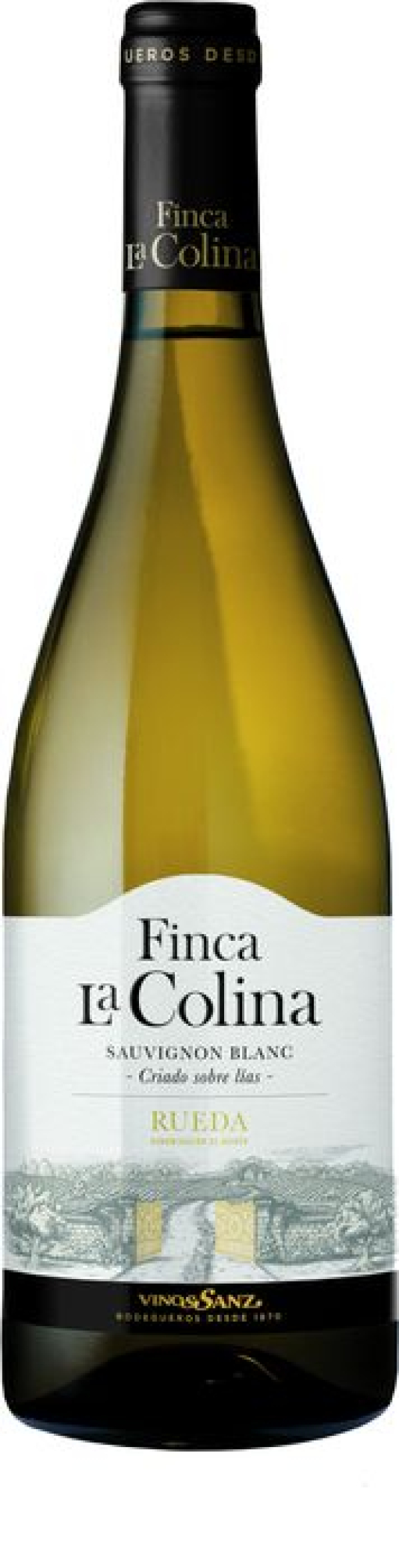 FINCA COLINA SAUVIGNON C6